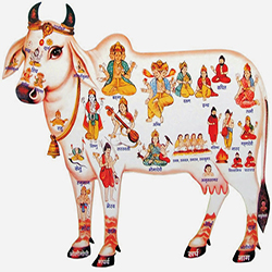 Gau Seva